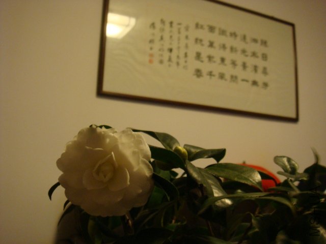 ѩ��7.JPG