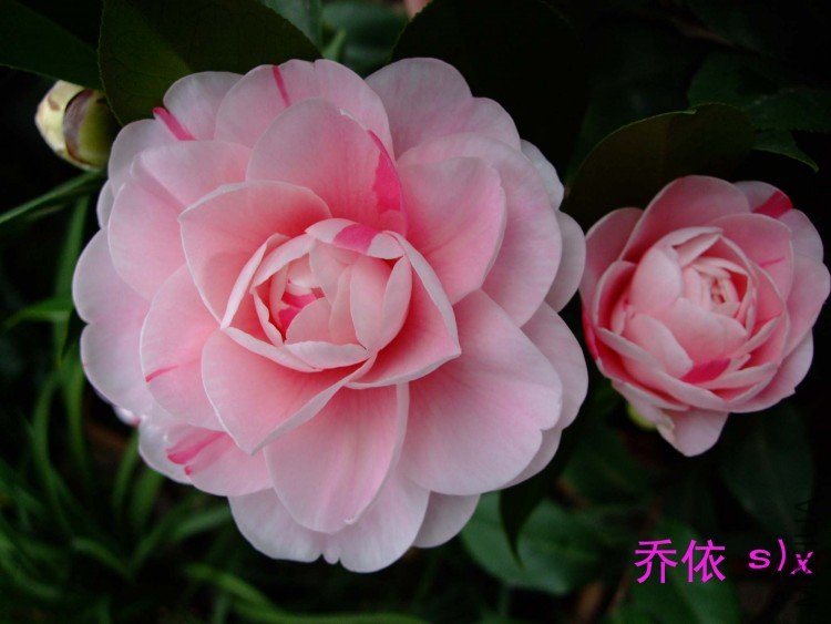 ���� 10-1-19f(2).jpg