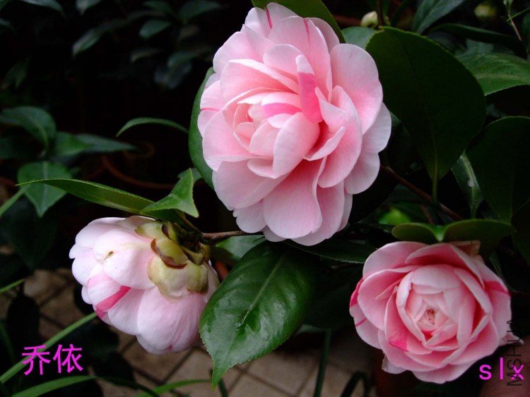 ���� 10-1-19f(3).jpg