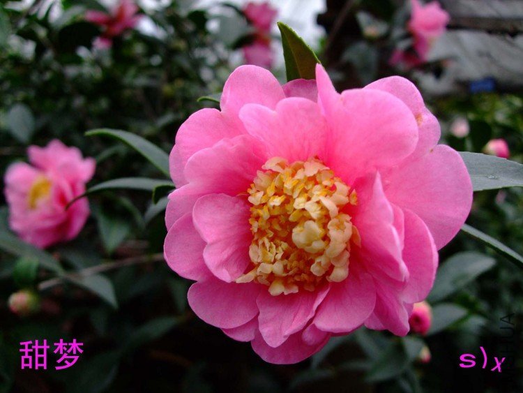 ���� 10-1-19f(1).jpg