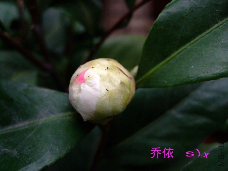 ���� 10-1-19f(1).jpg