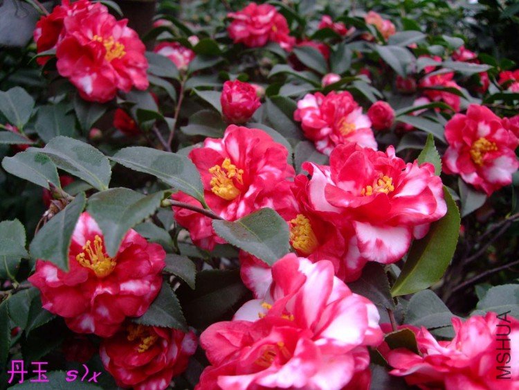 ���� 10-1-19f(1).jpg