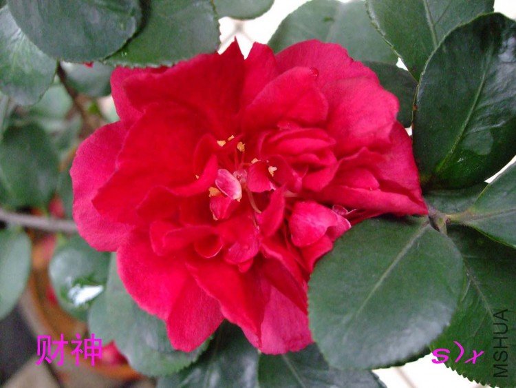 ���� 10-1-19f(1).jpg