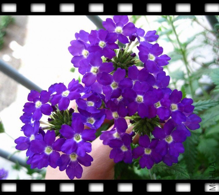 ��Ƭ 13046.jpg