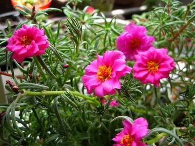 ��Ƭ 13027.jpg
