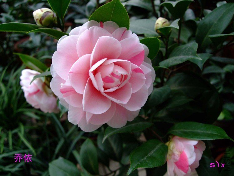 ����10-1-19fu (1).jpg