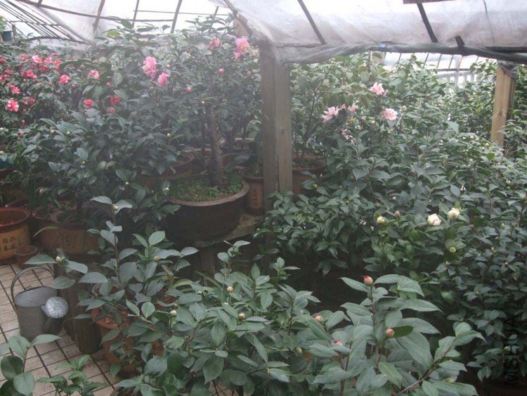 �軨 10-1-19fu (5).jpg