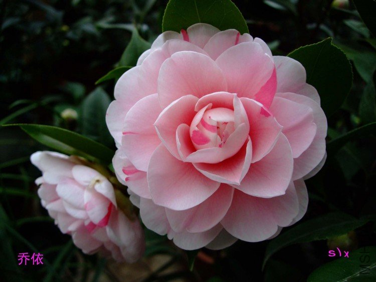 ����10-1-19fu (3).jpg