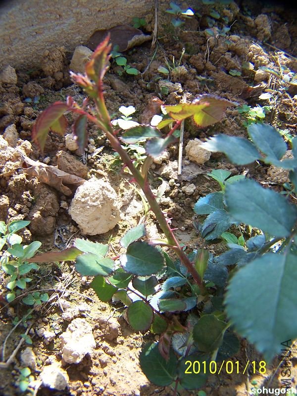 100_7883.jpg