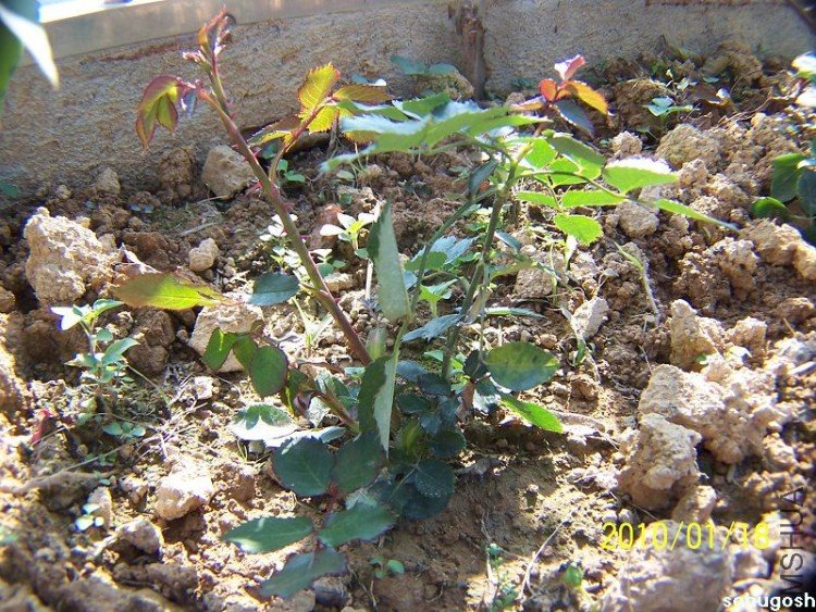 100_7886.jpg