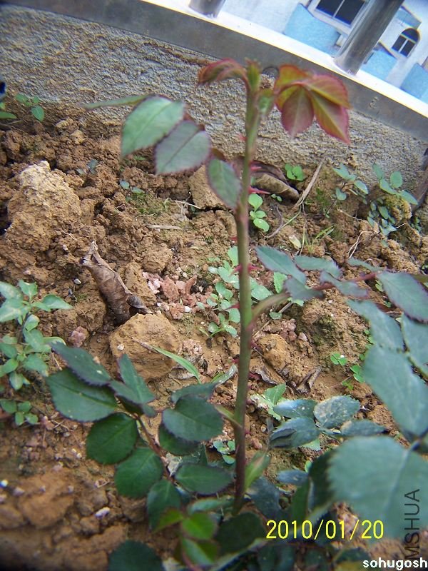 100_7894.jpg