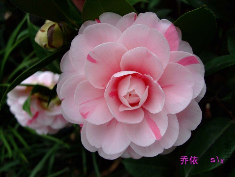 ����10-1-20f (2).jpg