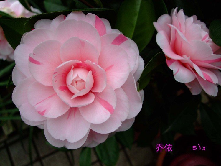 ����10-1-20f (3).jpg