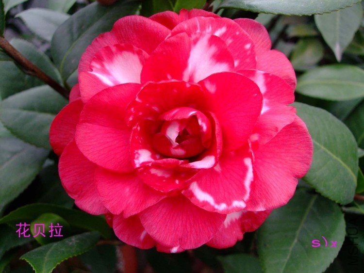 ������ 10-1-20f(2).jpg