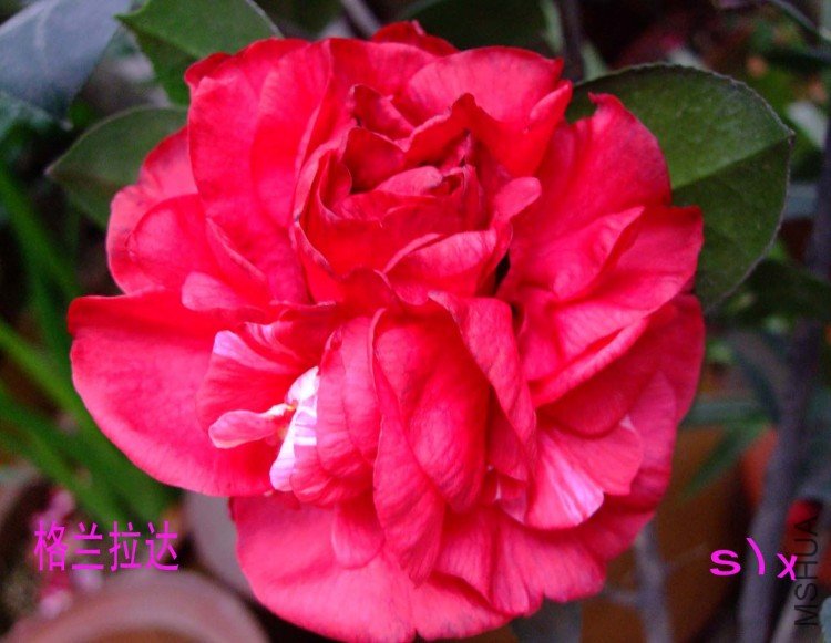 �������� 10-1-20f(1) .jpg