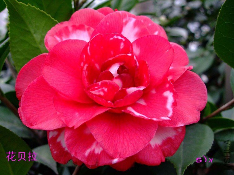 ������ 10-1-20f(1).jpg