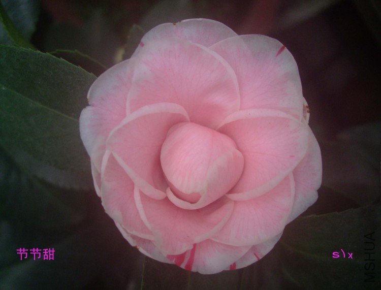 �ڽ��� 10-1-20f (1).jpg