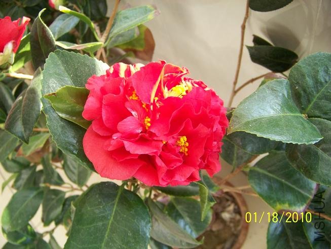 100_1455.JPG