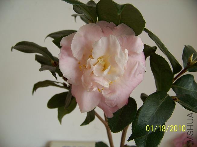 100_1461.JPG