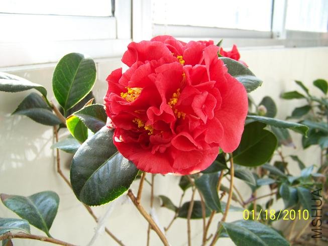 100_1454.JPG