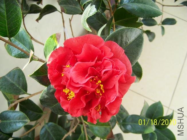 100_1456.JPG