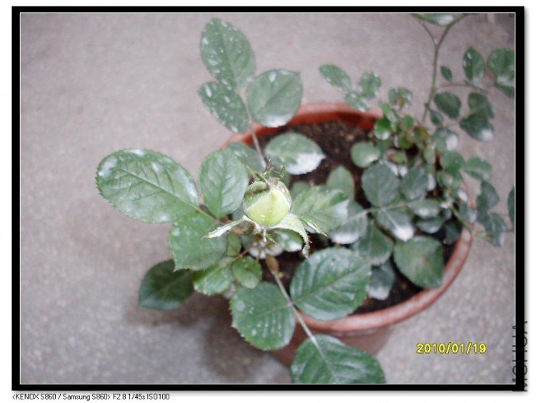 SDC13242_nEO_IMG.jpg