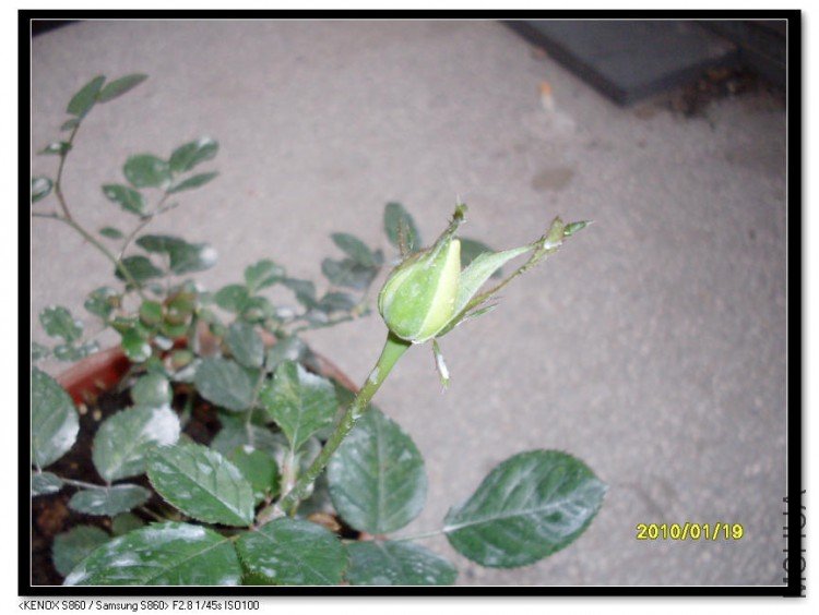 SDC13243_nEO_IMG.jpg