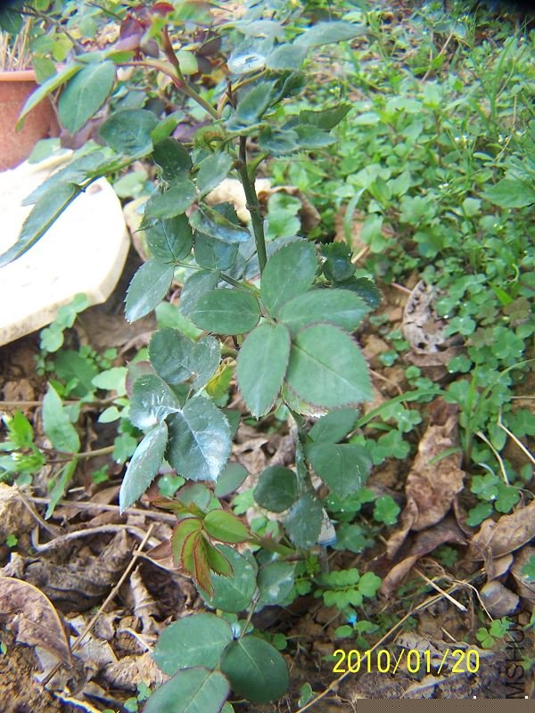 100_7906.jpg
