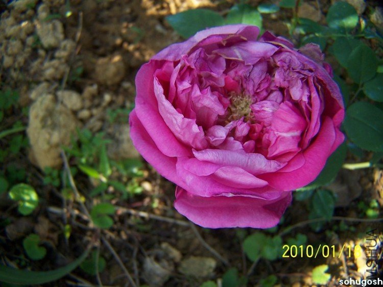 100_7867.jpg