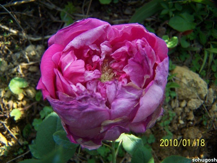 100_7864.jpg