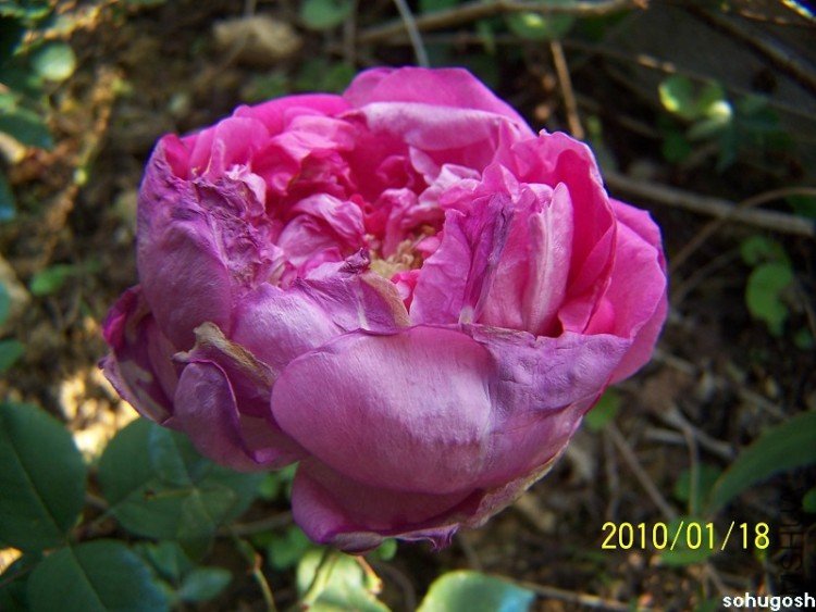 100_7865.jpg