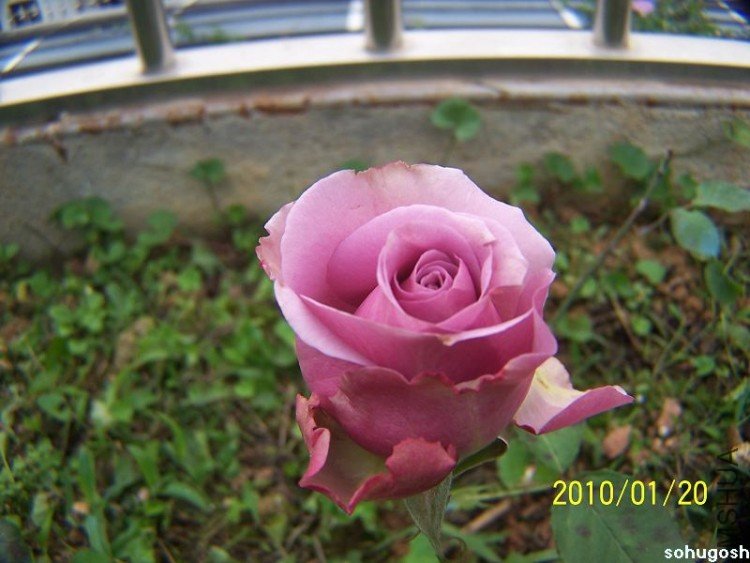 100_7900.jpg