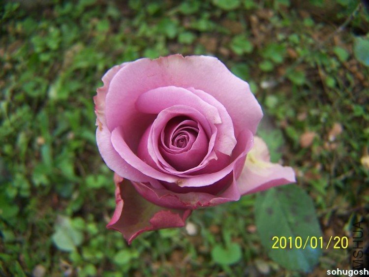 100_7901.jpg
