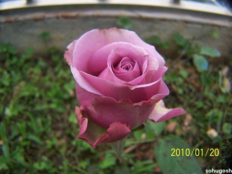 100_7902.jpg