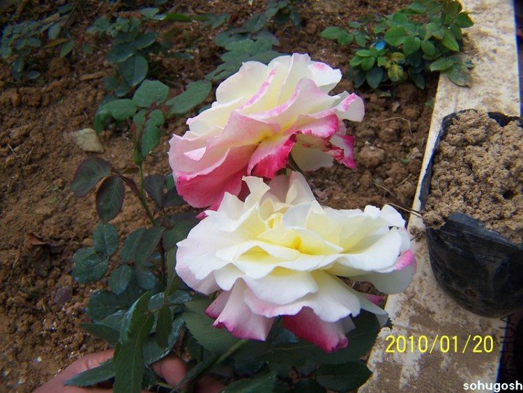 100_7899.jpg