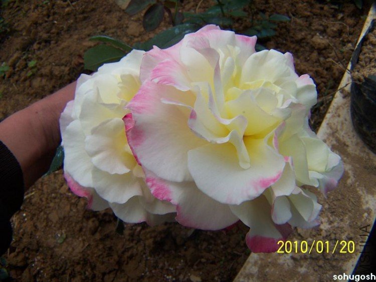 100_7898.jpg