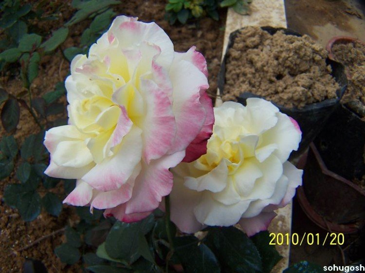 100_7897.jpg