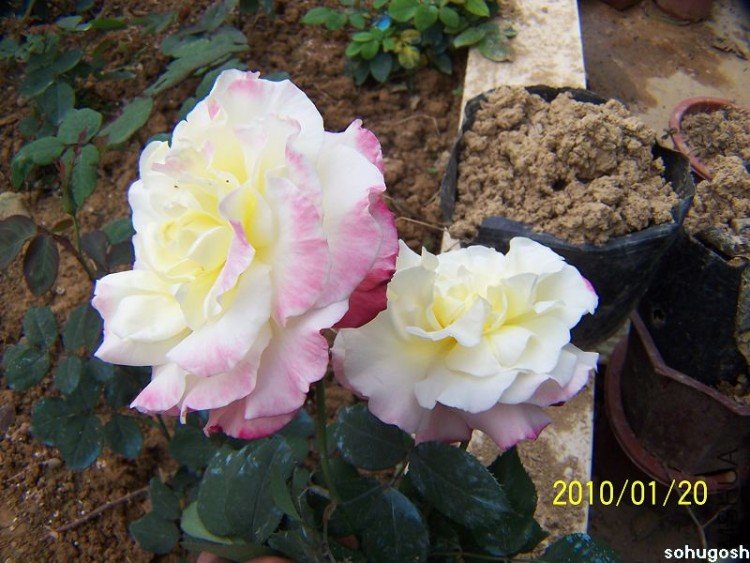 100_7896.jpg