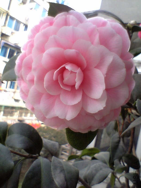 �۵�07-03-25_15-02-1.jpg