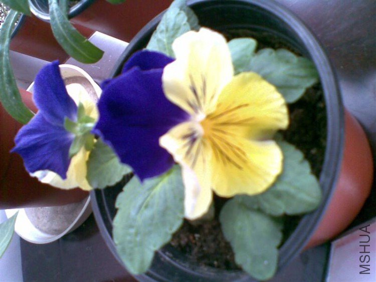 ͼ��120 (����).jpg