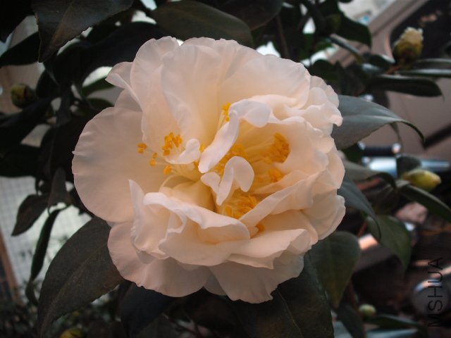 ���ͻ���14��������