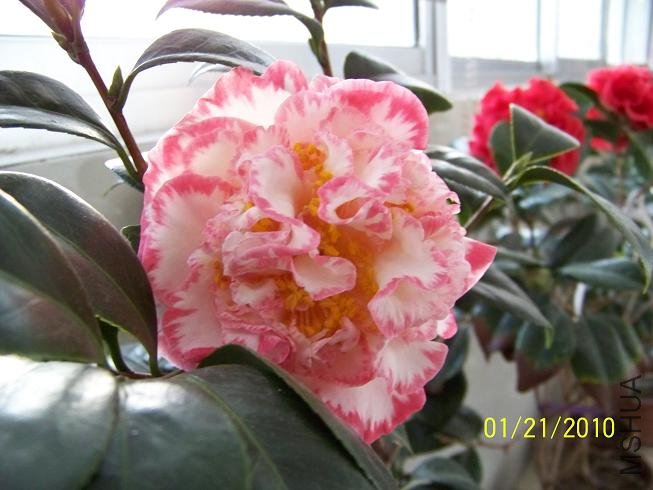 100_1468.JPG