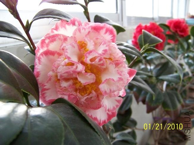 100_1467.JPG