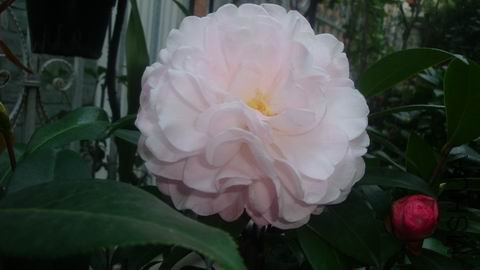 DSC04500.JPG