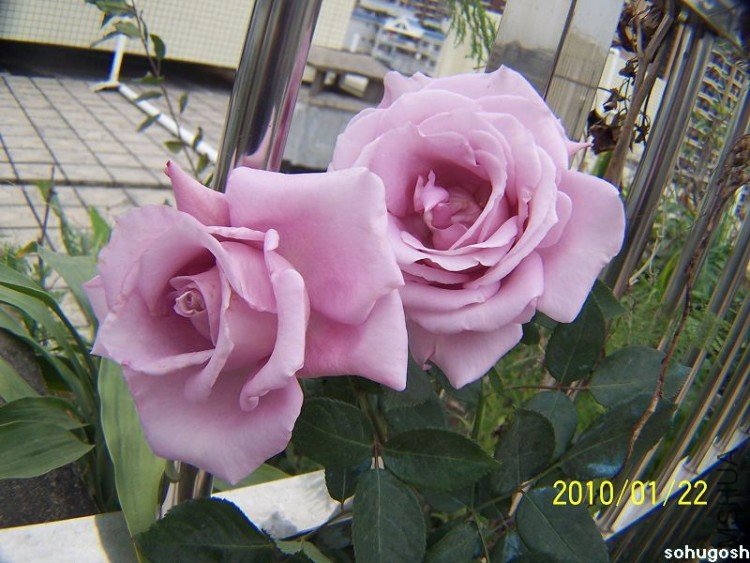 100_7930.jpg