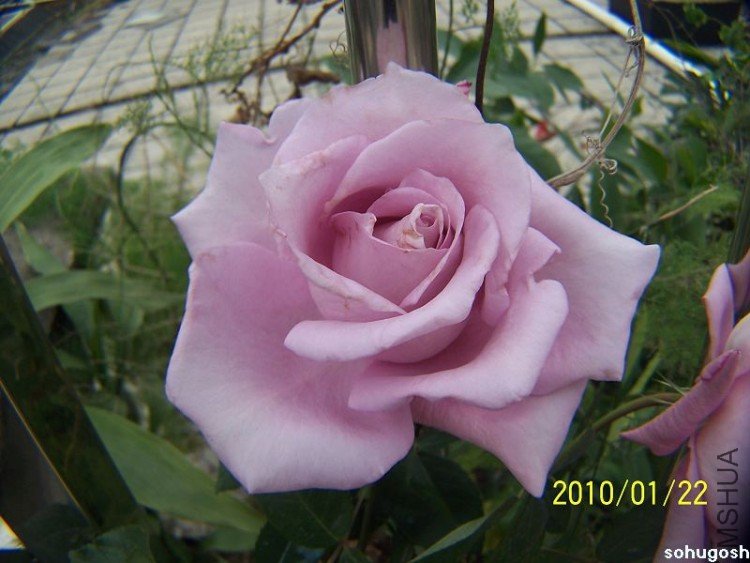100_7940.jpg