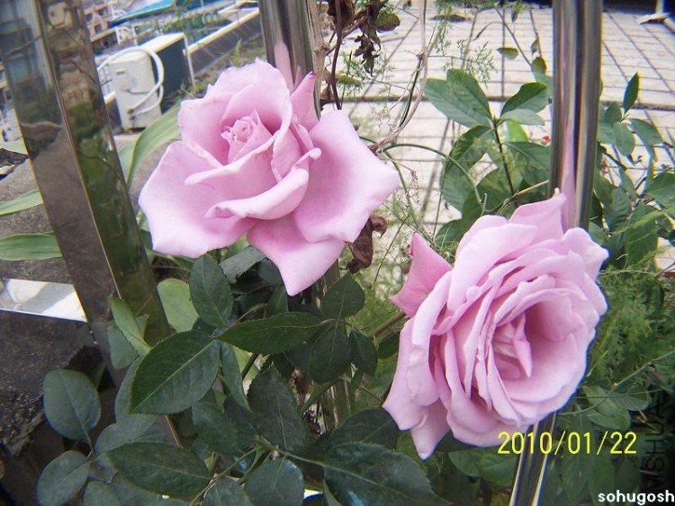 100_7938.jpg