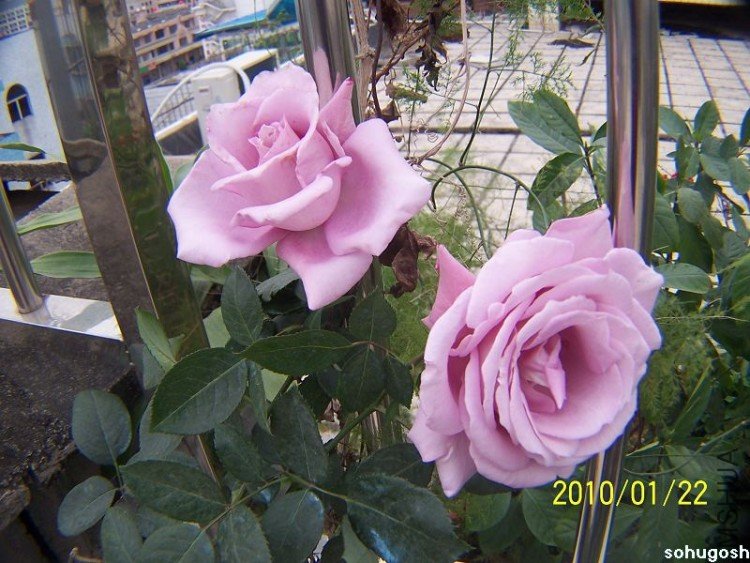 100_7936.jpg