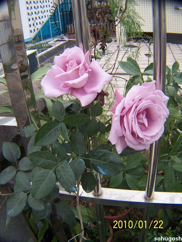 100_7937.jpg