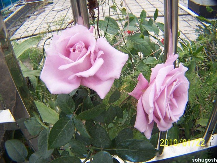 100_7941.jpg